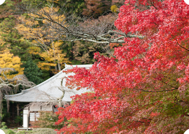 有馬温泉の天神泉源